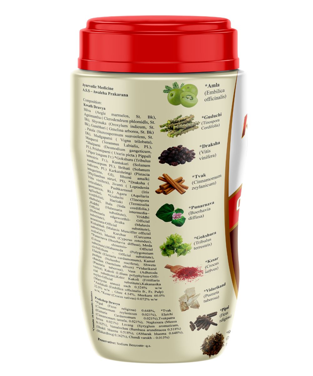 Rasna Chyawanprash with 10 Immunity Boosters 450g