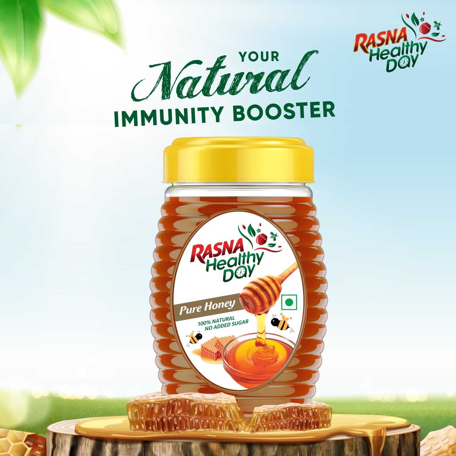 Rasna Honey 500 gm